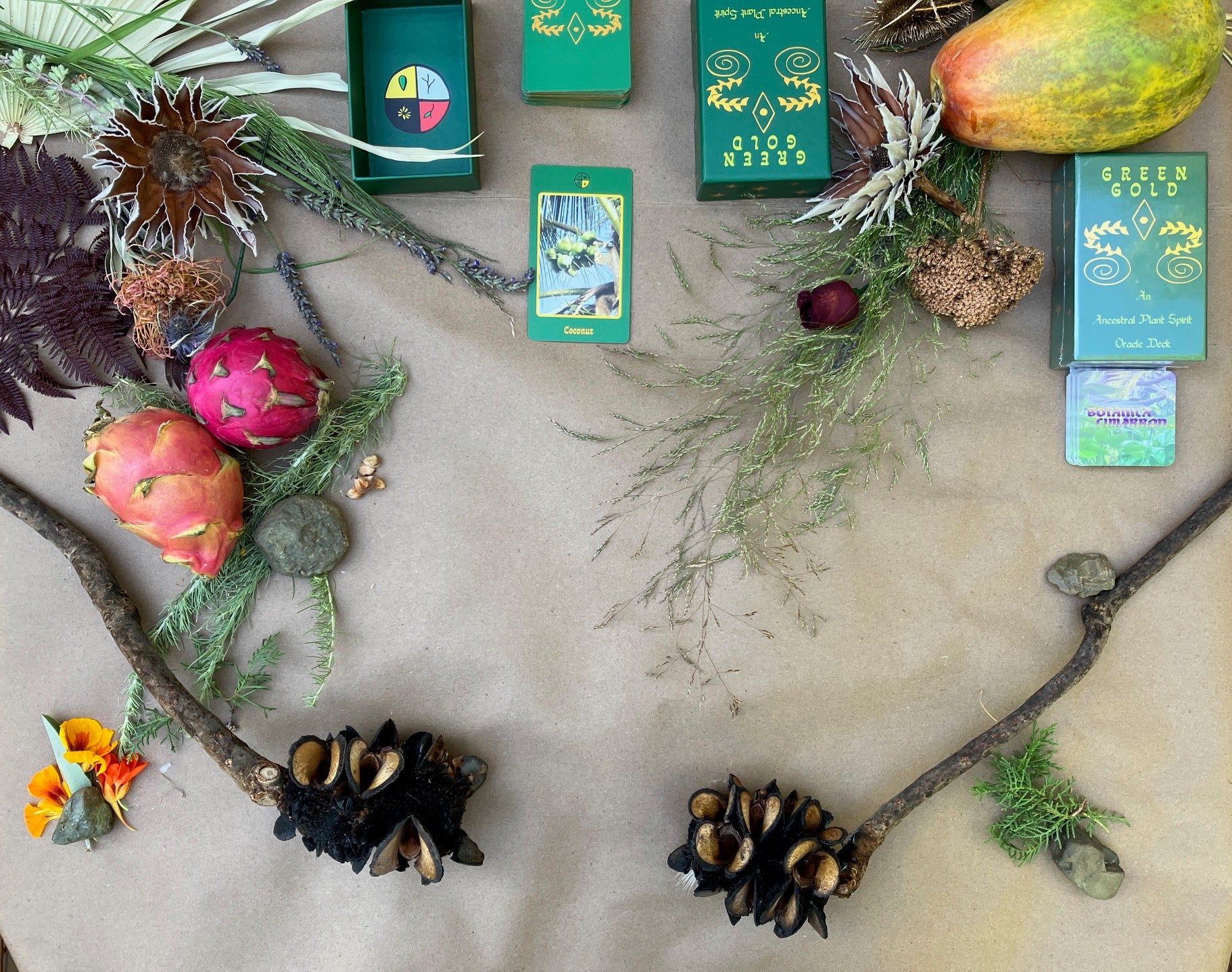 Plant Spirit Session