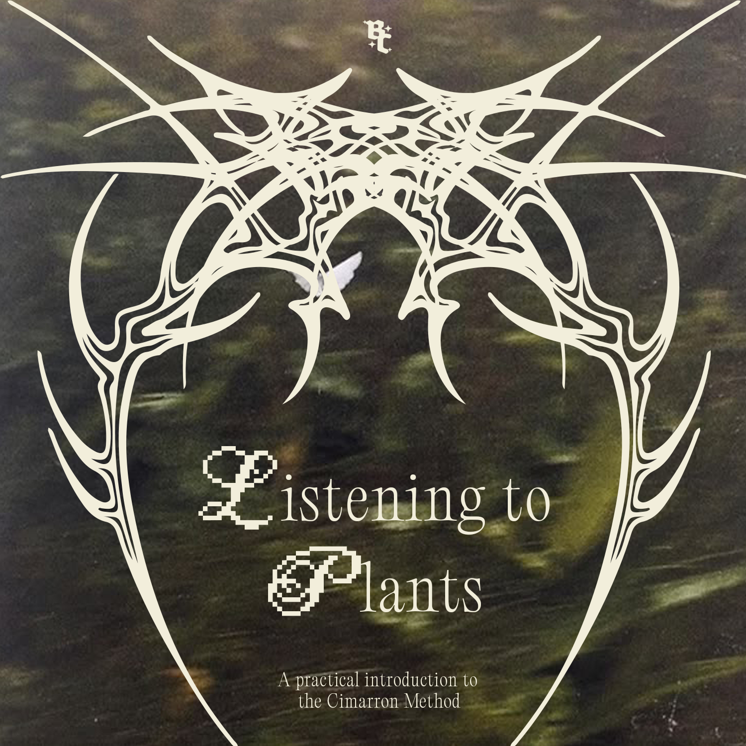 Listening to Plants